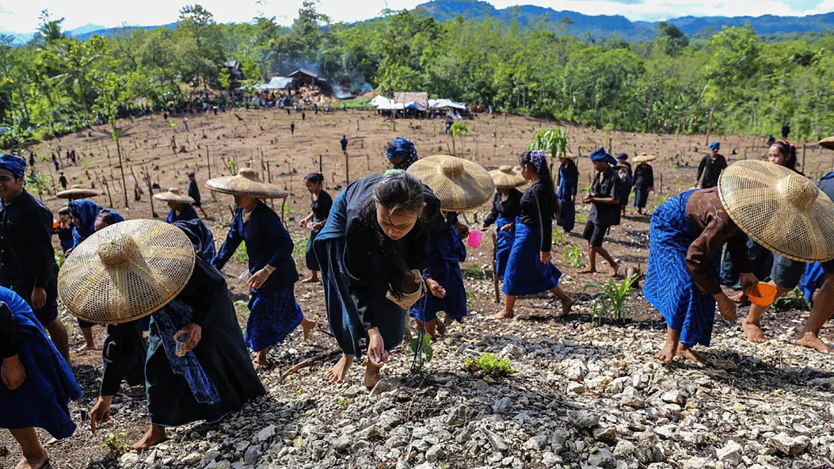 Suku Baduy, Mengenal lebih dalam yang Berada di Rangkasbitung Provinsi Banten